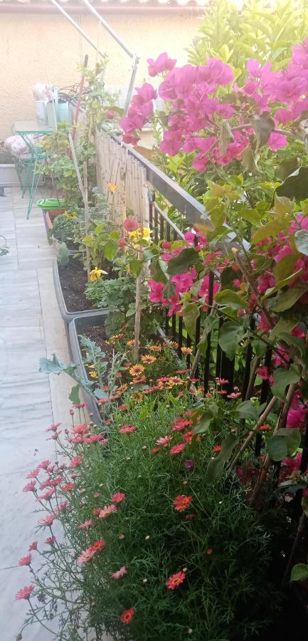 Aegina'S Flowers House Exterior photo
