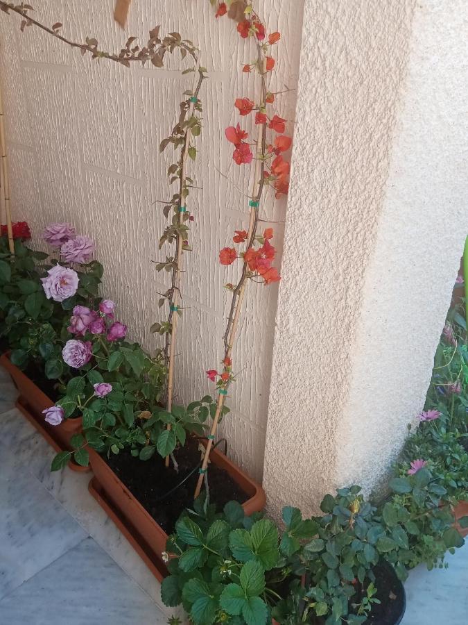 Aegina'S Flowers House Exterior photo