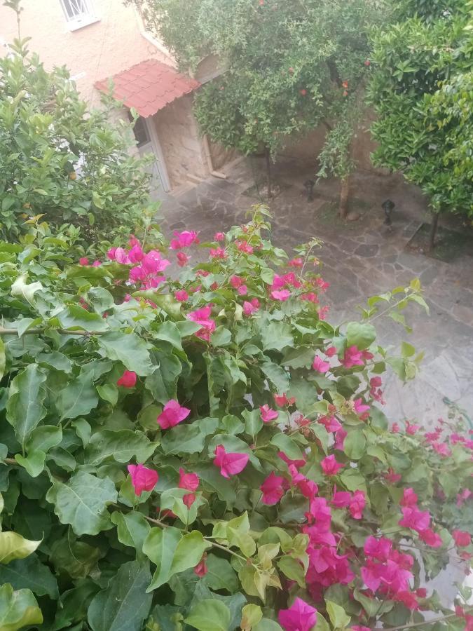 Aegina'S Flowers House Exterior photo